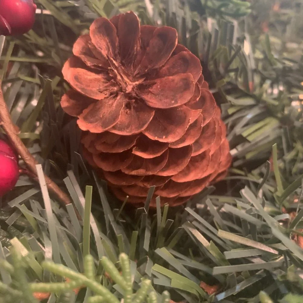 Frontgate EUC 18 Inch Christmas Wreath